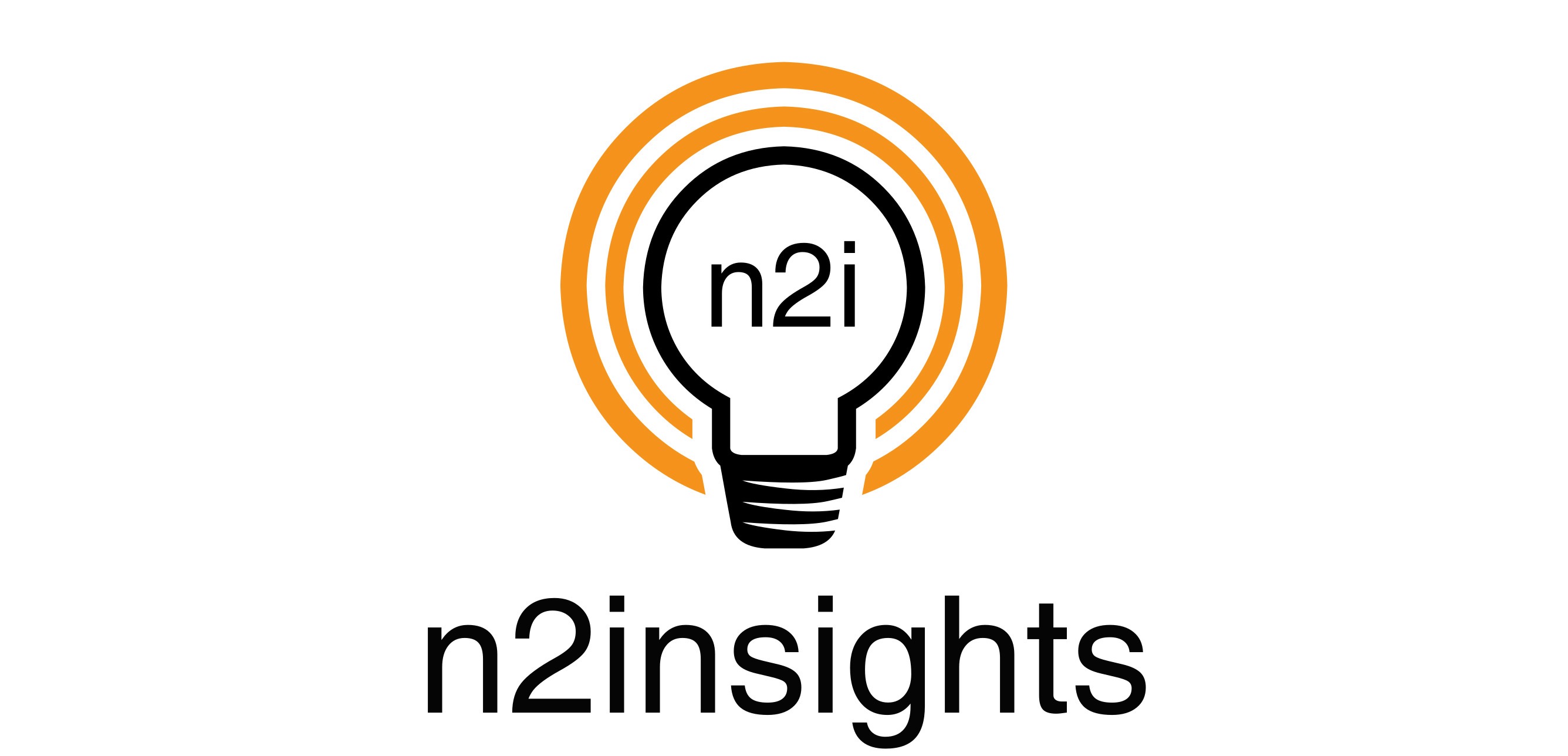 n2insights logo